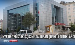 Ünye'de Temizlik İşçisine Saldıran Şüpheli Tutuklandı