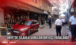 Ünye'de Silahla Vurulan Bir Kişi Yaralandı