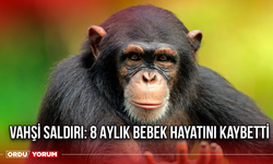 Vahşi Saldırı: 8 Aylık Bebek Hayatını Kaybetti