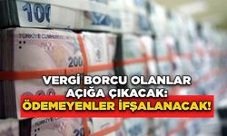 Vergi Borcu Olanlar Açığa Çıkacak: Ödemeyenler İfşalanacak!