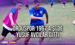 Orduspor 1967 A.Ş.'de Yusuf Avcılar Gitti