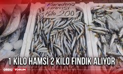 1 Kilo hamsi 2 Kilo Fındık Alıyor