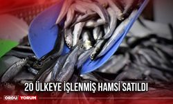 20 Ülkeye İşlenmiş Hamsi Satıldı