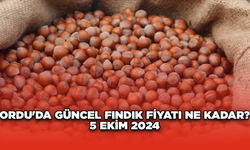 Ordu'da güncel fındık fiyatı ne kadar? 5 Ekim 2024