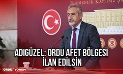 Adıgüzel: Ordu Afet Bölgesi ilan Edilsin