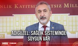 Adıgüzel: Sağlık Sisteminde Soygun Var