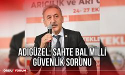 Adıgüzel: Sahte Bal milli Güvenlik Sorunu