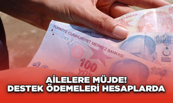 Ailelere Müjde! Destek Ödemeleri Hesaplarda