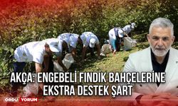 Akça: Engebeli Fındık Bahçelerine Ekstra Destek Şart