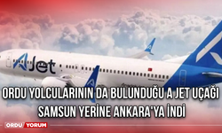 Ordu Yolcularının Da Bulunduğu A Jet Uçağı, Samsun Yerine Ankara'ya İndi