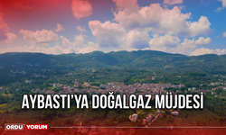 Aybastı’ya Doğalgaz Müjdesi