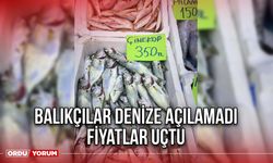 Balıkçılar Denize Açılamadı Fiyatla Uçtu