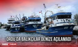 Ordu’da Balıkçılar Denize Açılamadı