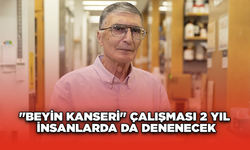 Beyin kanser çalışması 2 yıl insanlarda denenecek