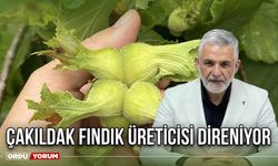 Çakıldak Fındık Üreticisi Direniyor