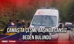 Çamaş'ta Çeşme Başında Cansız Beden Bulundu