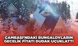 Çambaşı'ndaki bungalovların gecelik fiyatı dudak uçuklattı