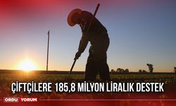 Çiftçilere 185,8 Milyon Liralık Destek