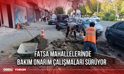 Fatsa Mahallelerinde Bakım Onarım Çalışmaları Sürüyor