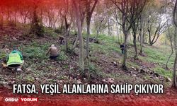 Fatsa, Yeşil Alanlarına Sahip Çıkıyor