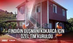 Fındığın Düşmanı Kokarca İçin Özel Tim Kuruldu