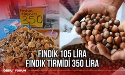 Fındık 105 Lira Fındık Tirmidi 350 Lira