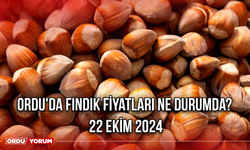 Ordu'da fındık fiyatları ne durumda? 22 Ekim 2024