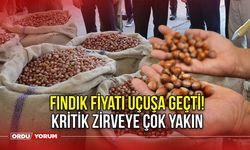 Fındık Fiyatları Uçuşa Geçti! Kritik Zirveye Çok Yakın