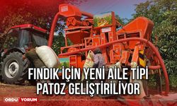 Fındık İçin Yeni Aile Tipi Patoz Geliştiriliyor