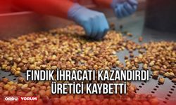 Fındık İhracatı Kazandırdı Üretici Kaybetti