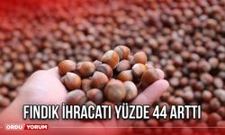 Fındık ihracatı yüzde 44 arttı