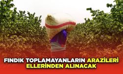 Fındık Toplamayanların Arazileri Ellerinden Alınacak