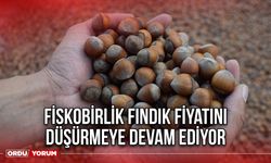 Fiskobirlik Fındık Fiyatını Düşürmeye Devam Ediyor