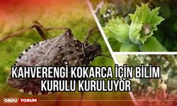 Kahverengi Kokarca İçin Bilim Kurulu Kuruluyor