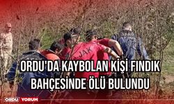 Ordu'da kaybolan kişi fındık bahçesinde ölü bulundu