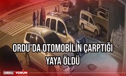 Ordu'da otomobilin çarptığı yaya öldü