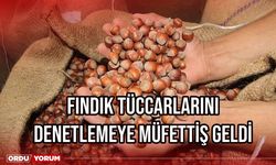 Fındık Tüccarlarını Denetlemeye Müfettiş Geldi