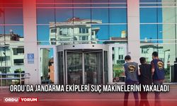 Ordu’da Jandarma Ekipleri Suç Makinelerini Yakaladı