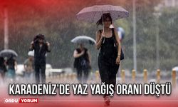 Karadeniz’de Yaz Yağış Oranı Düştü