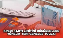 Kredi kartı limitini düşürenlere yönelik yeni genelge yolda!