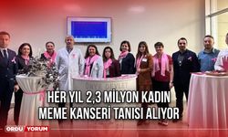 Her Yıl 2,3 Milyon Kadın, Meme Kanseri Tanısı Alıyor