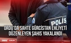 Ordu’da Sahte Gürcistan Ehliyeti Düzenleyen Şahıs Yakalandı