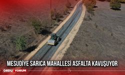 Mesudiye Sarıca Mahallesi Asfalta Kavuşuyor