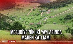 Mesudiye’nin İki Yaylasında Maden Katliamı