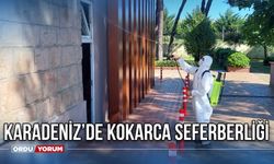 Karadeniz’de Kokarca Seferberliği