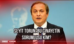 Seyit Torun: Bu Cinayetin Sorumlusu Kim?