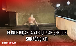 Elinde bıçakla yarı çıplak şekilde sokağa çıktı