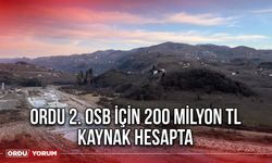 Ordu 2. OSB İçin 200 Milyon TL Kaynak Hesapta