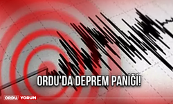 Ordu'da Deprem Paniği!