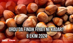 Ordu'da fındık fiyatı ne kadar? 8 Ekim 2024